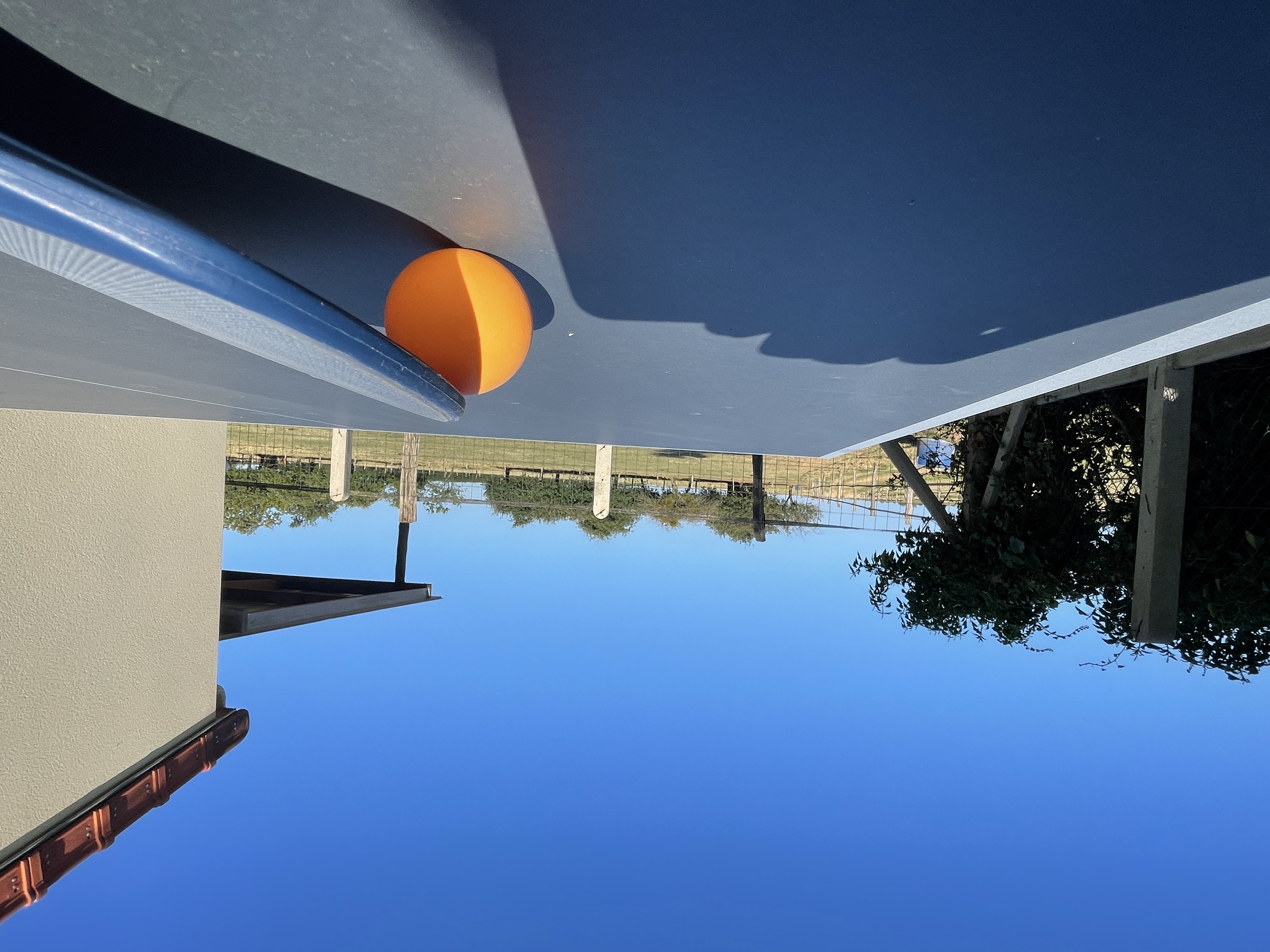Table de ping-pong